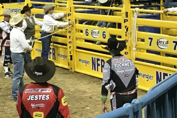 Finalists announced for NFR Bullfighters, Pickup Men, and Barrelmen 2022