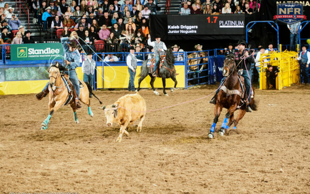 Team ropers Driggers/Nogueira wins second straight gold buckles at the NFR in Las Vegas