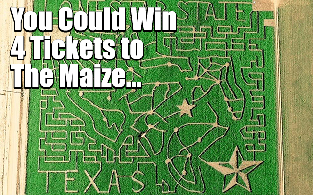 Enter for your Chance to Win a Family Pack of 4 Tickets to go Through The Maize